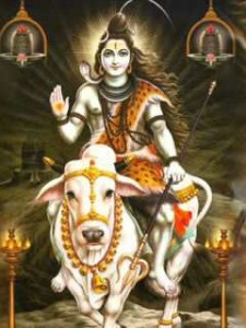 नंदी के दर्शन और महत्व