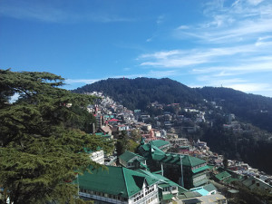 वृक्षों के जीवन की कल्पना भी नहीं, छायाकार: मीना कौंडल
