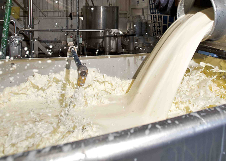 हिमाचल: दूध खरीद मूल्य में दो रुपये प्रति लीटर की बढ़ौतरी, 45 हजार किसानों मिलेगा लाभ