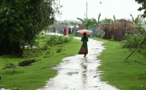 Entry Free for everyone