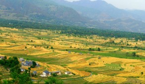 चौन्तडा वैली