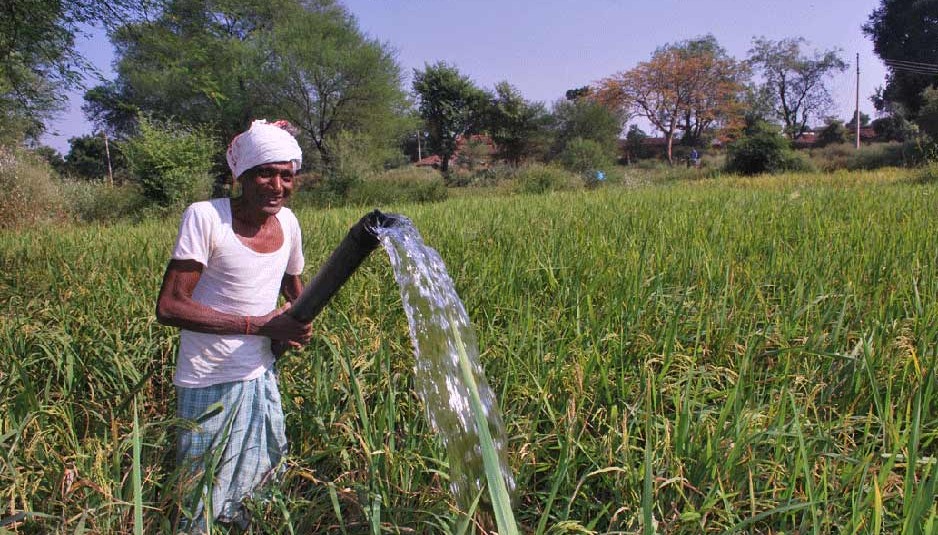 खरीफ फसलों का रकबा 685 लाख हेक्टेयर के पार
