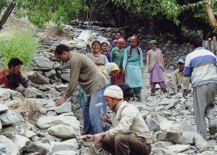 मनरेगा में बनेंगी पशु शालाएं, पक्के रास्तों की होगी मरम्मतः वीरेंद्र कंवर