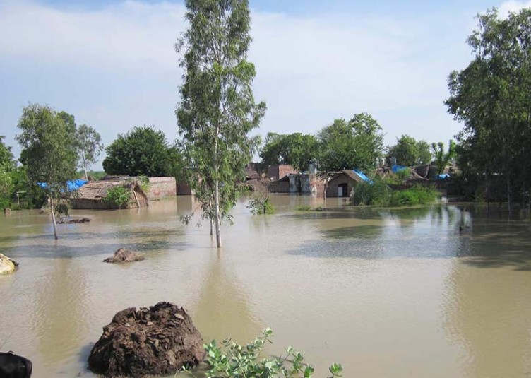 खाद्य प्रसंस्करण मंत्री ने खाद्य प्रसंस्करण कंपनियों से चेन्नई में दूध, खाद्य सामग्री और बोतल बंद पानी सुनिश्चित करने की अपील