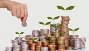 भारतीय अर्थव्यवस्था पर "काले धन" का प्रभाव