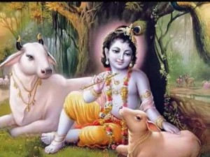 भगवान श्री कृष्ण को गाय दुहते समय गाय के मूत्र में दिख गया था चांद