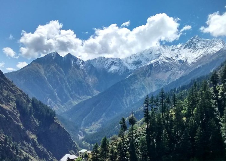 "हिमाचल" होगा ओर भी सुंदर जब सब मिलकर करेंगे "पर्यावरण का संरक्षण" छायाकार: मीना कौंडल