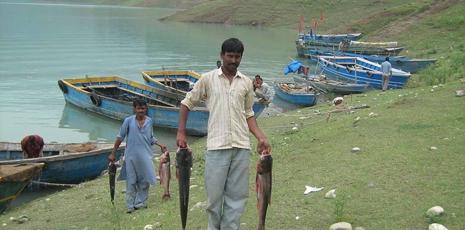 हिमाचल: जलाशयों में 16 जून से 15 अगस्त तक मछली पकड़ने पर पूर्ण रूप से प्रतिबंध