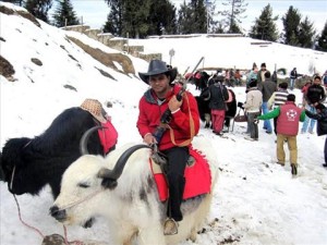  शिमला की हसीन वादियाँ वर्षपर्यंत पर्यटकों का स्वागत करती हैं।