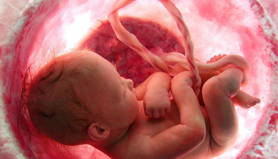 गर्भावस्था के दौरान भ्रूण से शिशु का होता है पूर्ण विकास : डॉ. सुभाष चौहान