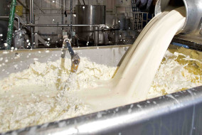 हिमाचल: दूध खरीद मूल्य में दो रुपये प्रति लीटर की बढ़ौतरी, 45 हजार किसानों मिलेगा लाभ