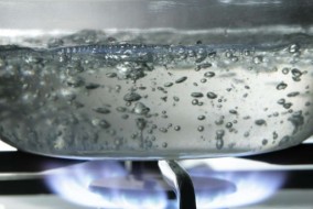 पीलिया के रोग से बचना है तो पीएं उबला पानी