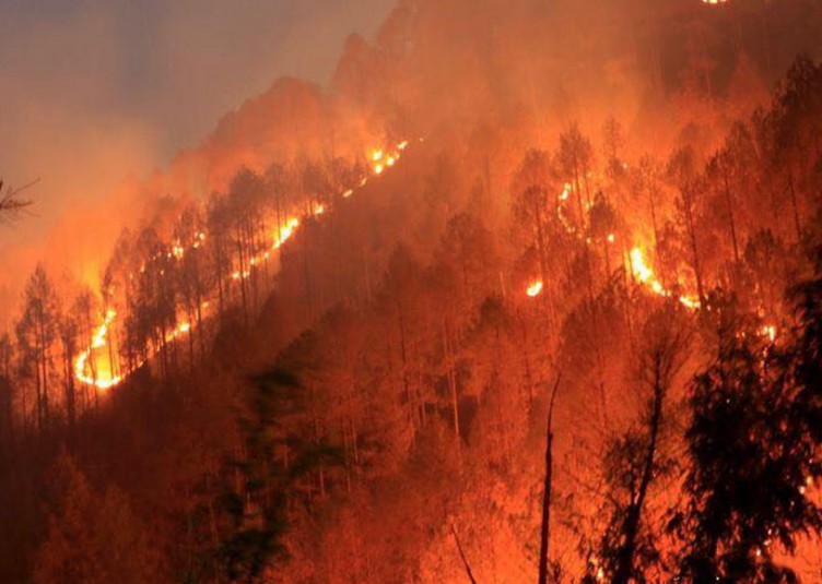 उत्तराखंड में आग की स्थिति काबू में, अभियान जारी: राजनाथ सिंह