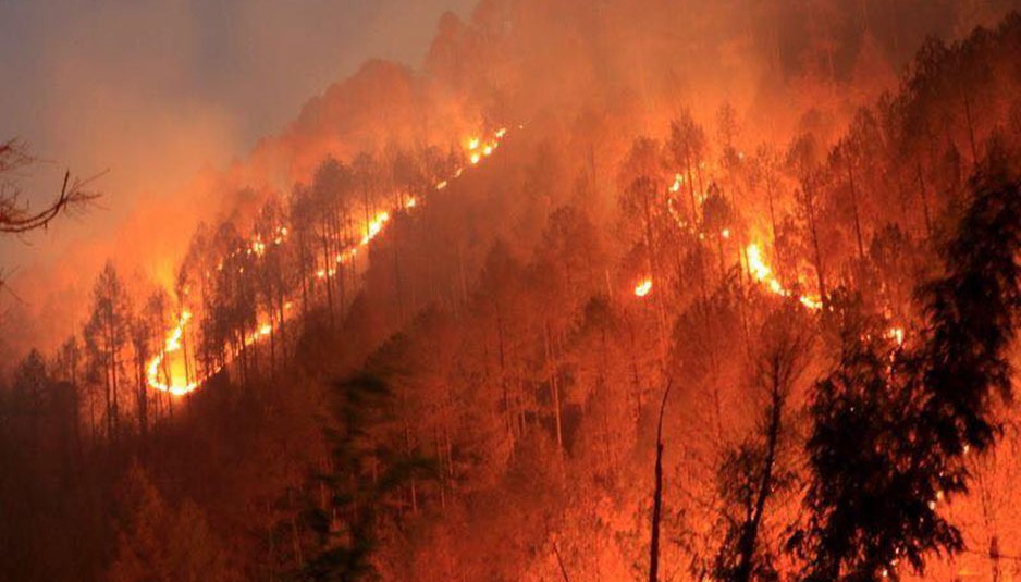 उत्तराखंड में आग की स्थिति काबू में, अभियान जारी: राजनाथ सिंह