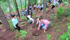 प्रदेश में वन क्षेत्र को 30 प्रतिशत तक बढ़ाने का लक्ष्य