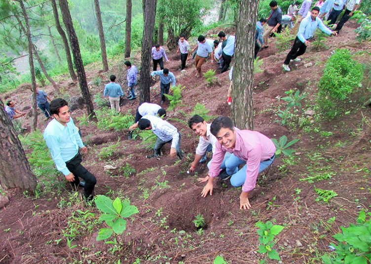 प्रदेश में वन क्षेत्र को 30 प्रतिशत तक बढ़ाने का लक्ष्य