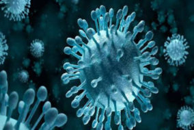 निपाह वायरस से न घबराएं लोग : बी.के. अग्रवाल