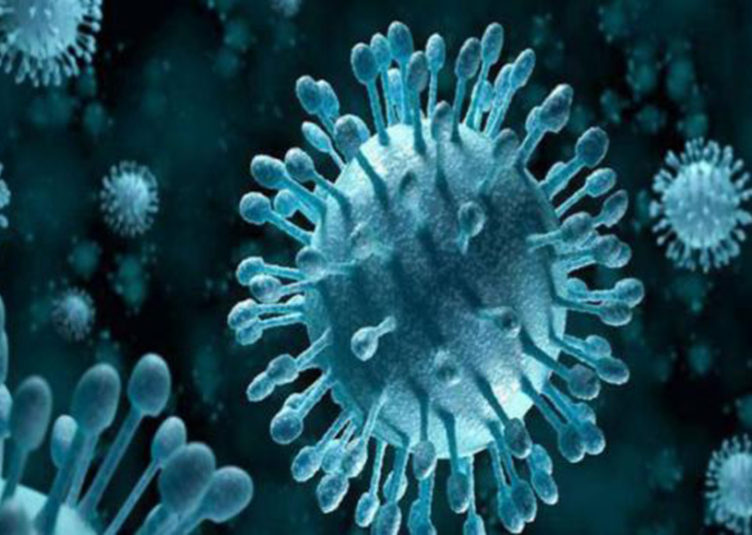 निपाह वायरस से न घबराएं लोग : बी.के. अग्रवाल