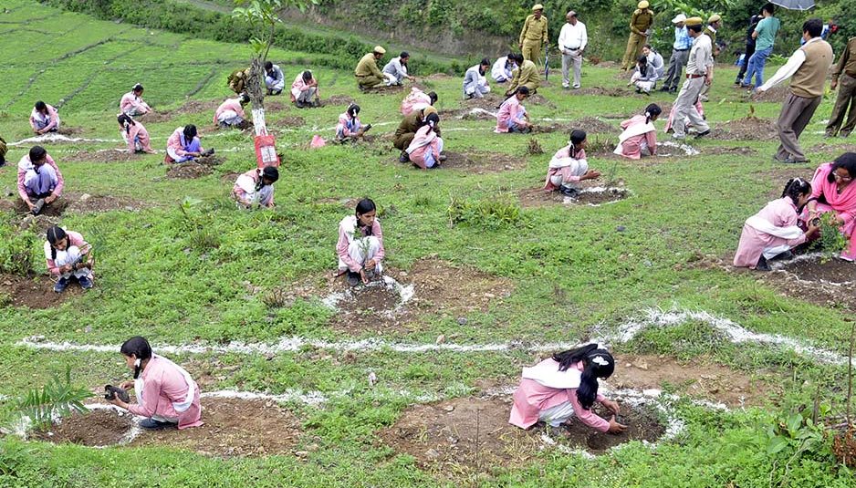 हरित आवरण वृद्धि के लिए हिमाचल सरकार के नवीन प्रयास