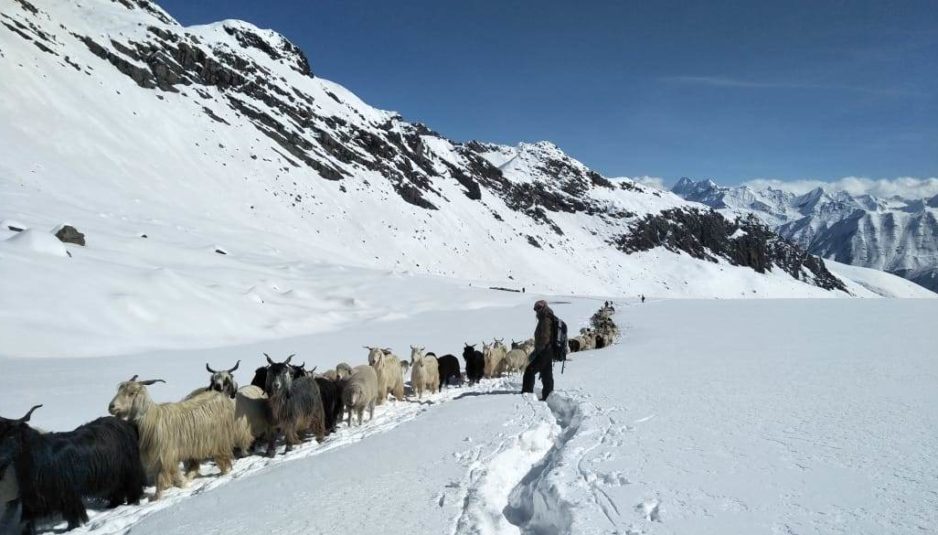 किन्नौर और लाहौल स्पीति में वीरवार को बारिश और बर्फबारी के आसार