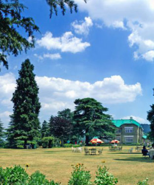 सोलन का रमणीक पर्यटन स्थल "चायल"