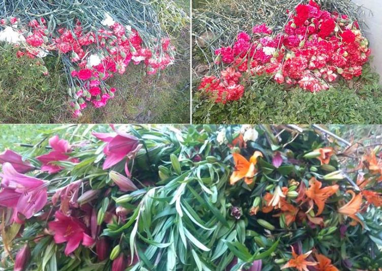 किसानों द्वारा पॉलीहाउस में लगाये गए लाखों रुपये के फूल सड़कों पर