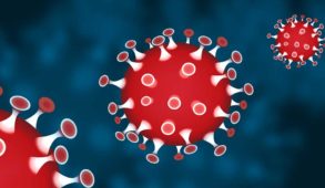 new update : शिमला में आज कोरोना के 113 मामले